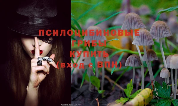 таблы Армянск